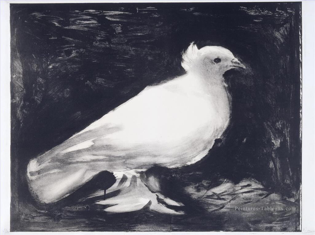 Oiseau de colombe noir et blanc Picasso Peintures à l'huile